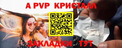 jwh Кингисепп
