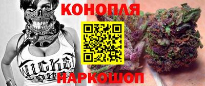 jwh Кингисепп