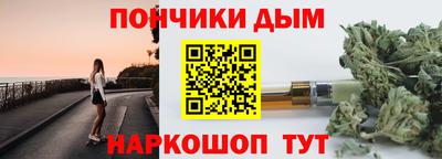 jwh Кингисепп