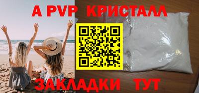 jwh Кингисепп