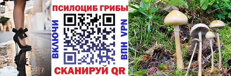 Галлюциногенные грибы Psilocybine cubensis Златоуст