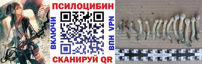 МЕГА Златоуст Галлюциногенные грибы прущие грибы