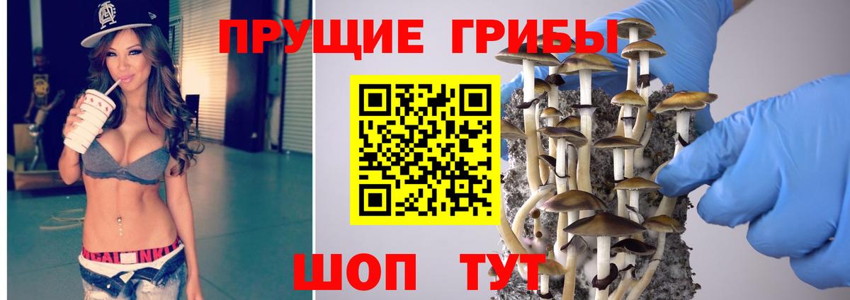 Псилоцибиновые грибы мицелий Златоуст