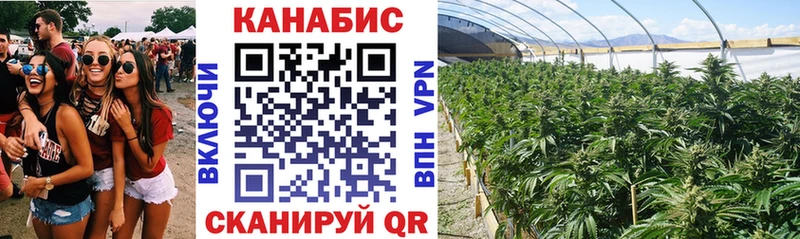 Шишки марихуана тримм  наркошоп  Златоуст 